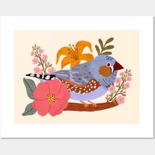 Zebra Finch Posters and Art